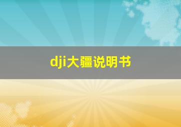 dji大疆说明书