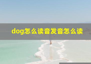 dog怎么读音发音怎么读