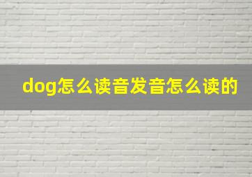 dog怎么读音发音怎么读的