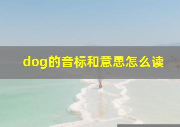 dog的音标和意思怎么读