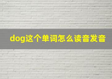 dog这个单词怎么读音发音