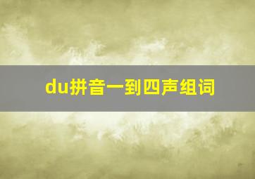 du拼音一到四声组词