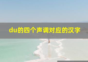 du的四个声调对应的汉字