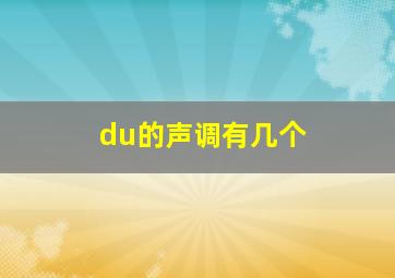 du的声调有几个