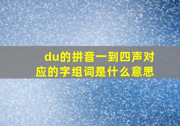 du的拼音一到四声对应的字组词是什么意思