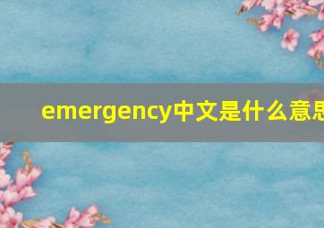 emergency中文是什么意思