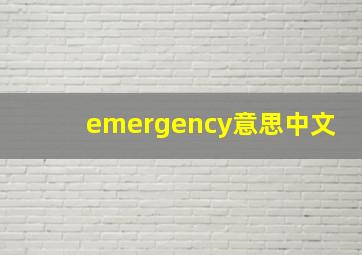 emergency意思中文