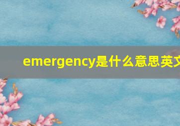 emergency是什么意思英文