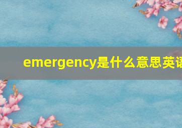 emergency是什么意思英语