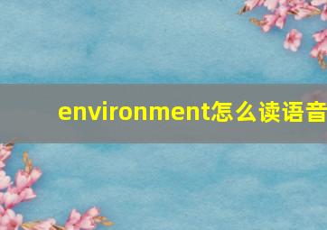 environment怎么读语音