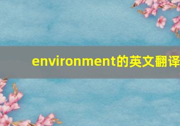 environment的英文翻译