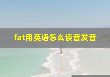 fat用英语怎么读音发音