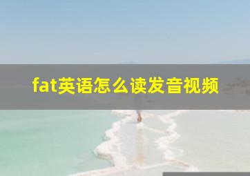 fat英语怎么读发音视频