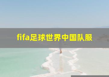 fifa足球世界中国队服