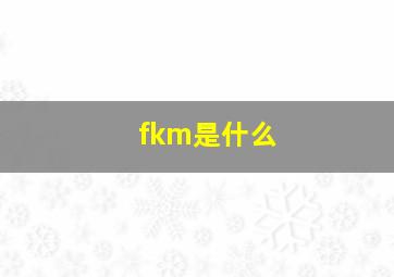 fkm是什么