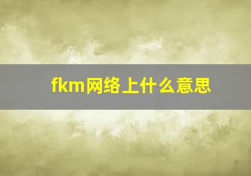 fkm网络上什么意思