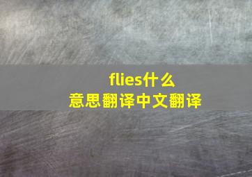 flies什么意思翻译中文翻译