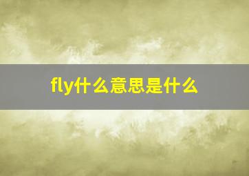 fly什么意思是什么