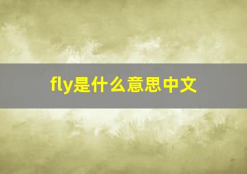 fly是什么意思中文