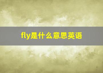 fly是什么意思英语