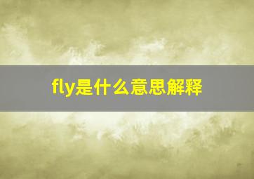 fly是什么意思解释