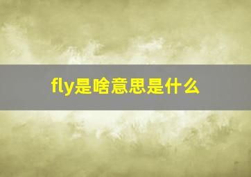 fly是啥意思是什么