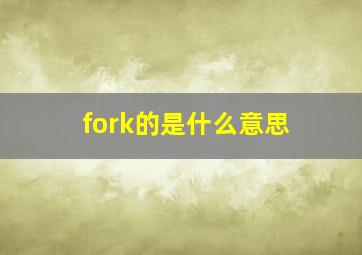 fork的是什么意思