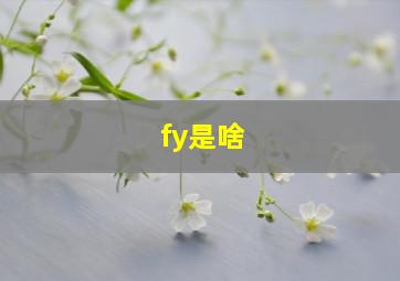 fy是啥