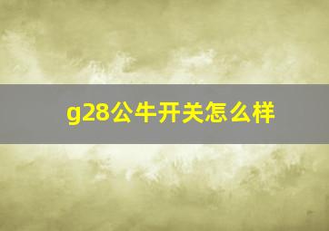 g28公牛开关怎么样