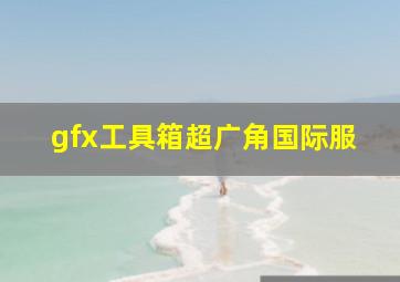 gfx工具箱超广角国际服