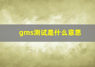 gms测试是什么意思