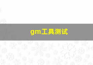 gm工具测试