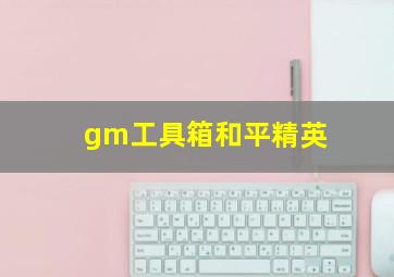 gm工具箱和平精英