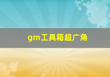 gm工具箱超广角