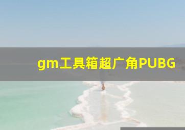 gm工具箱超广角PUBG