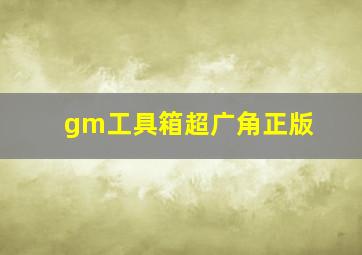 gm工具箱超广角正版