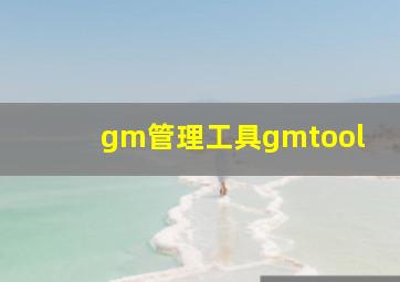 gm管理工具gmtool