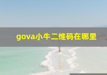 gova小牛二维码在哪里