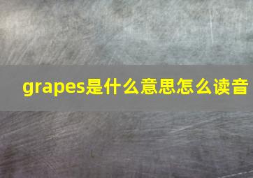 grapes是什么意思怎么读音