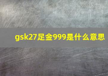 gsk27足金999是什么意思