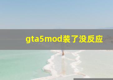 gta5mod装了没反应