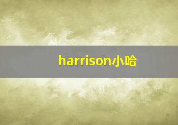 harrison小哈