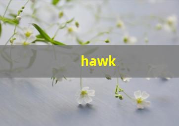 hawk