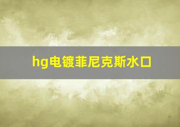 hg电镀菲尼克斯水口