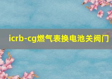 icrb-cg燃气表换电池关阀门