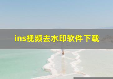 ins视频去水印软件下载