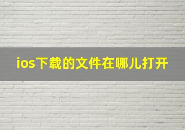 ios下载的文件在哪儿打开