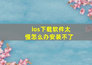 ios下载软件太慢怎么办安装不了