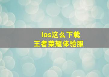 ios这么下载王者荣耀体验服