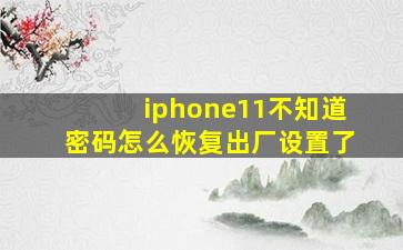 iphone11不知道密码怎么恢复出厂设置了